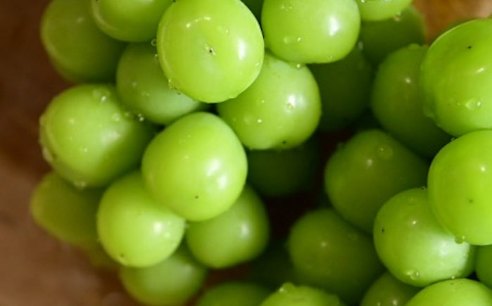 【ひと口でわかる、別格のおいしさ】”山梨の宝珠”シャインマスカット予約販売開始