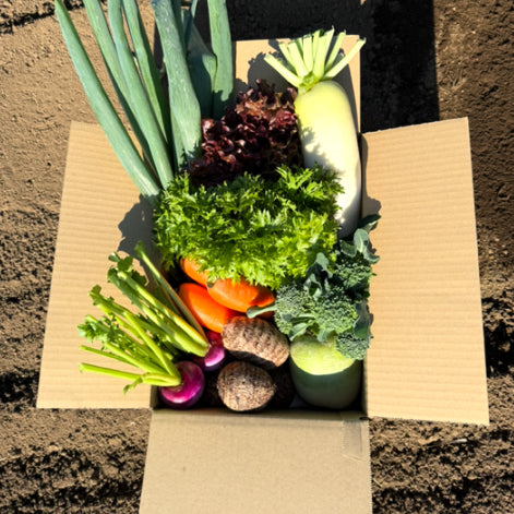 【本当に”得”な話】冬の”とくとく”野菜セット新登場 <寺町商店>