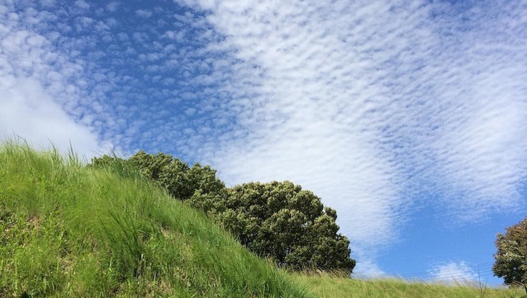 【9/15は敬老の日】手しごとの温もりで、『ありがとう』を伝えませんか?