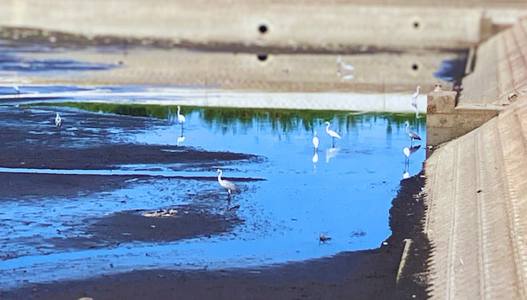 【岐阜の学び旅】俯瞰がもたらす、新たな気づき