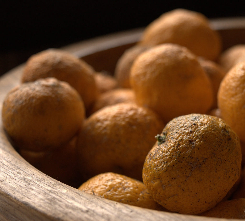 【明日は”運気回復”の日】冬至あなたはどう過ごしますか?