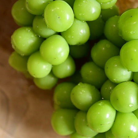 「山梨の宝珠」シャインマスカット(2房/約1.2kg)《おひとり様2セットまで》